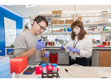 Two researchers work at a lab bench doing research with mRNA in the lab of Drew Weissman, MD, PhD  